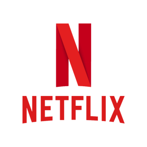 CITYPNG.COMNetflix-Vector-Flat-Logo-886x885-1.png